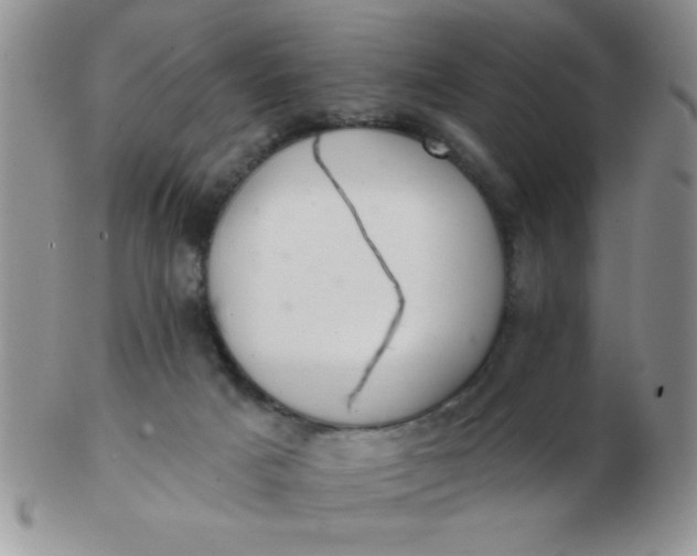 X0000103280025200809121955