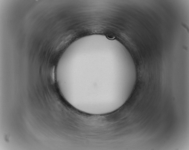 X0000103280028200809121955