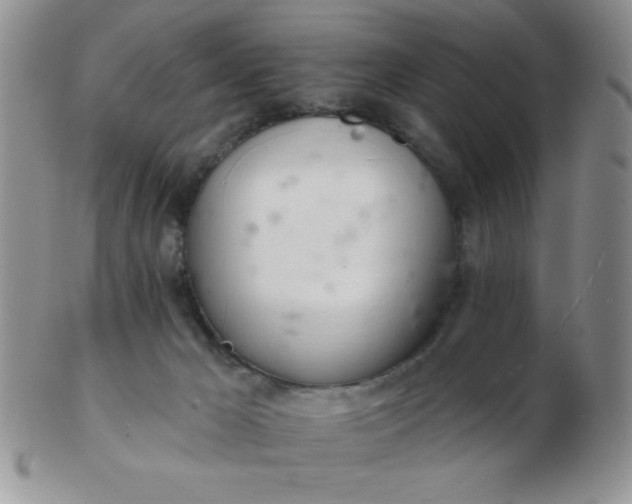 X0000103280029200809121955