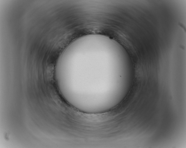 X0000103280030200809121955