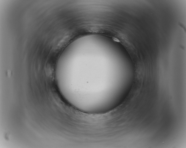 X0000103280031200809121955