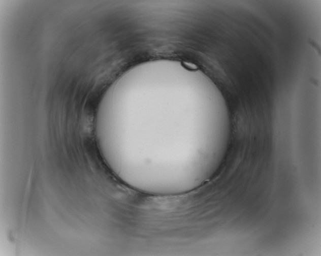 X0000103280033200809121955