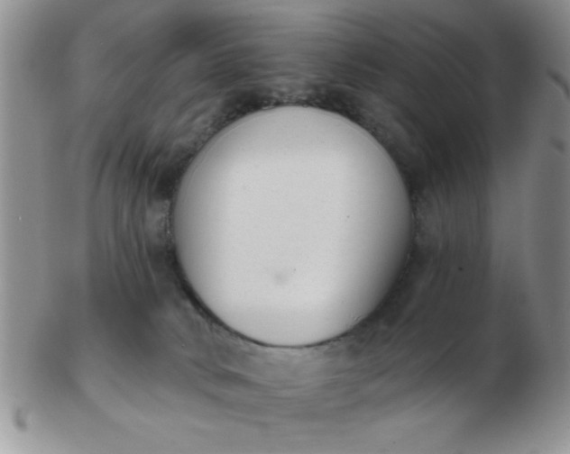 X0000103280034200809121955