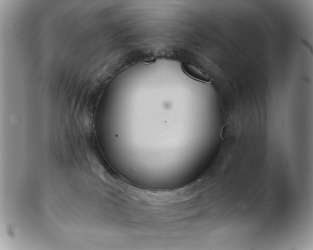 X0000103280039200809121955