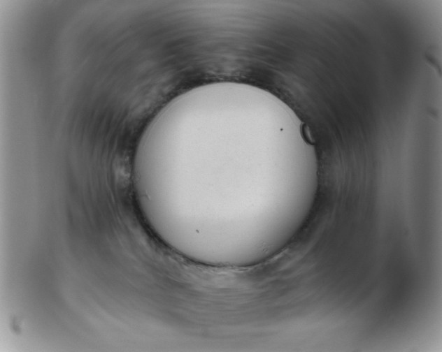 X0000103280040200809121955