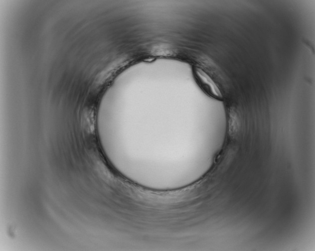 X0000103280043200809121955