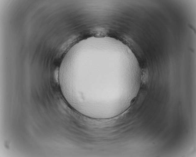 X0000103280047200809121954