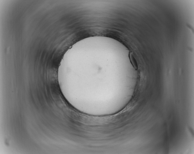 X0000103280048200809121954