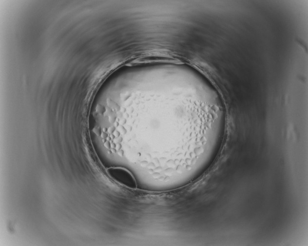 X0000103280049200809121954