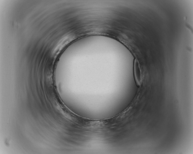 X0000103280050200809121954