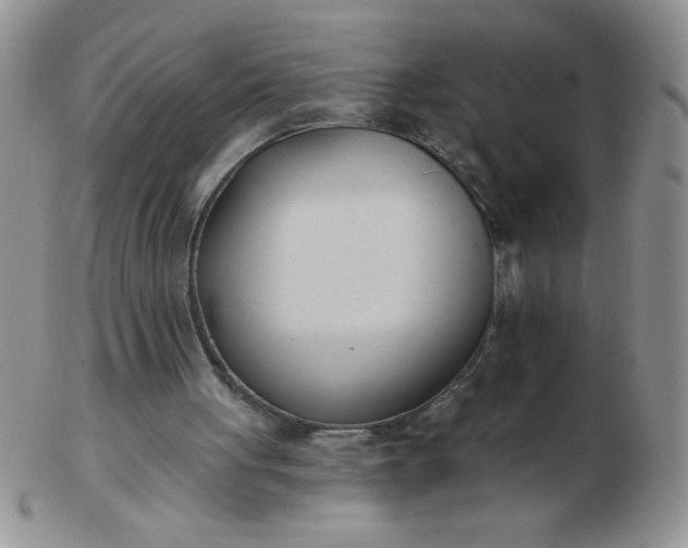 X0000103280051200809121954