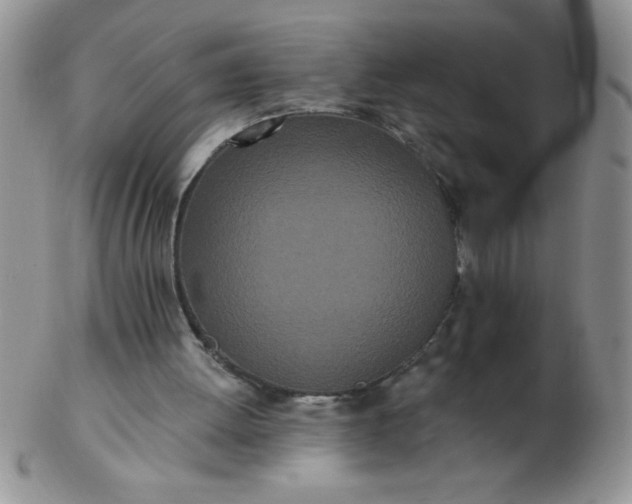 X0000103280052200809121954