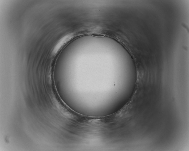 X0000103280054200809121954