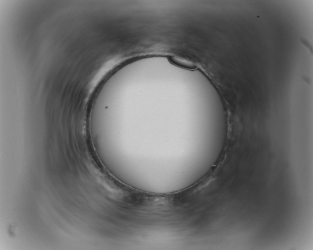 X0000103280056200809121954