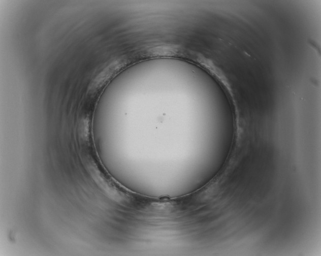 X0000103280057200809121954