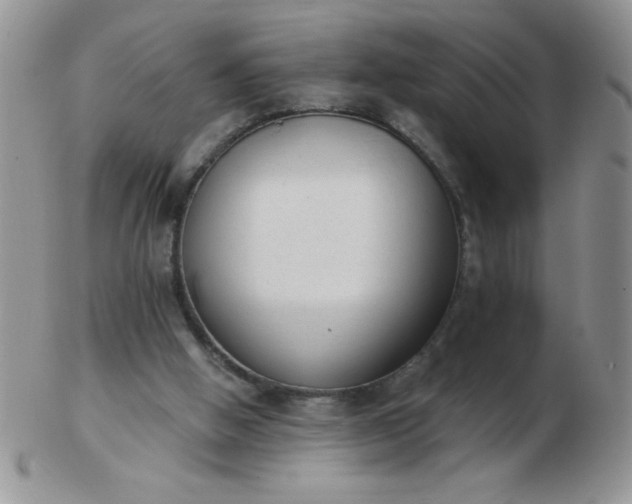 X0000103280058200809121954