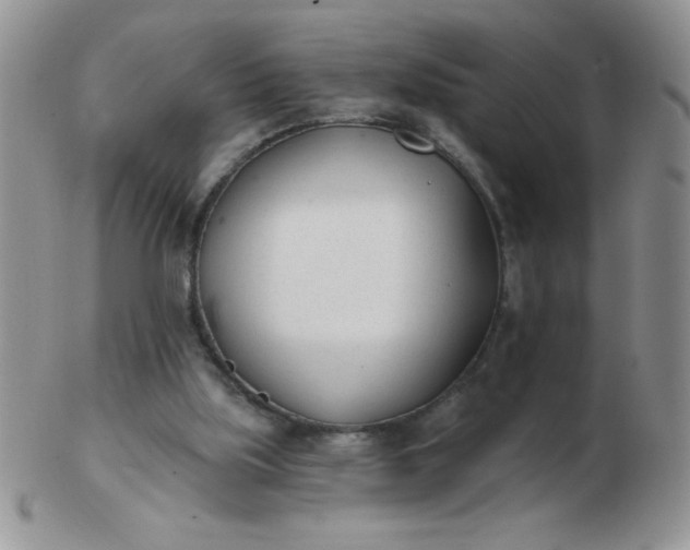 X0000103280059200809121954