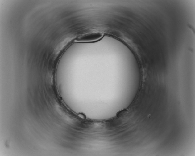 X0000103280060200809121954