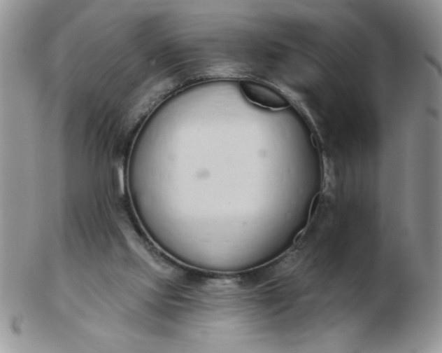 X0000103280061200809121954