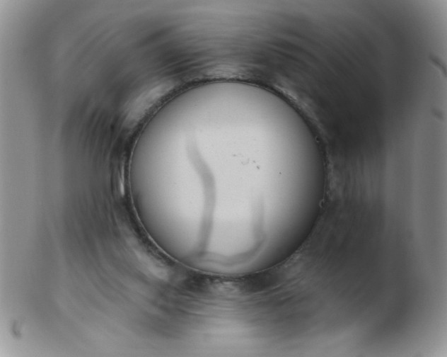 X0000103280062200809121954