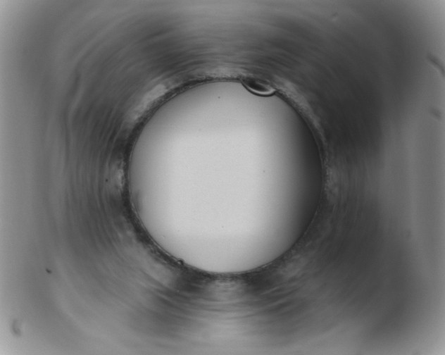 X0000103280063200809121954