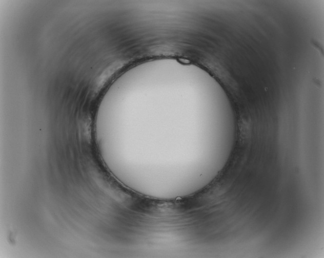 X0000103280064200809121954