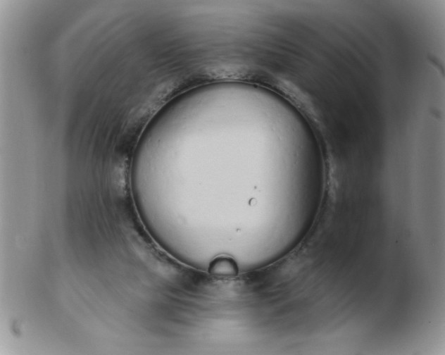 X0000103280065200809121954