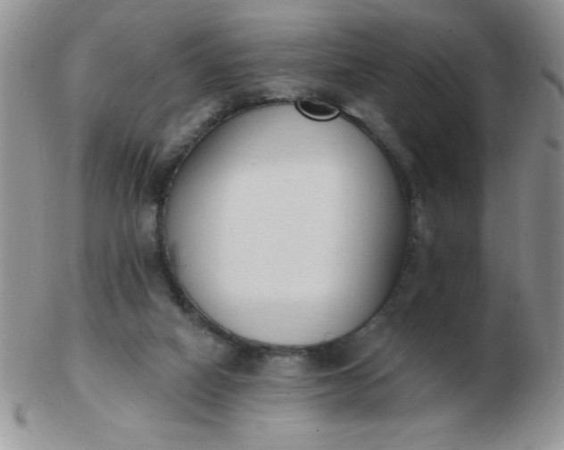 X0000103280066200809121954