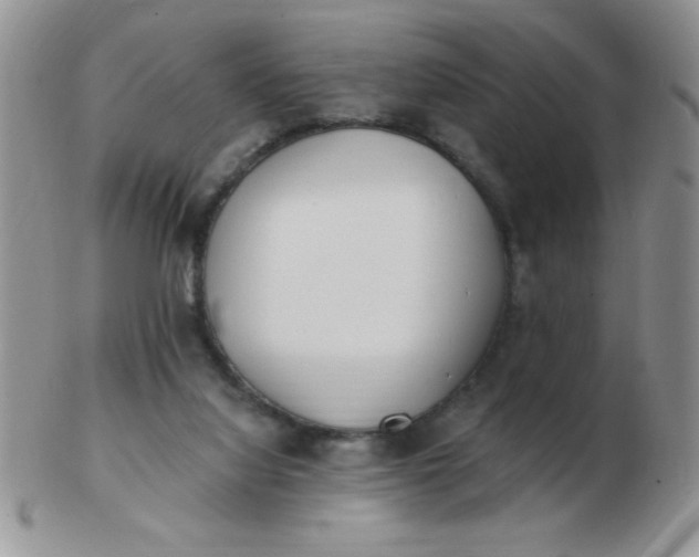 X0000103280068200809121954