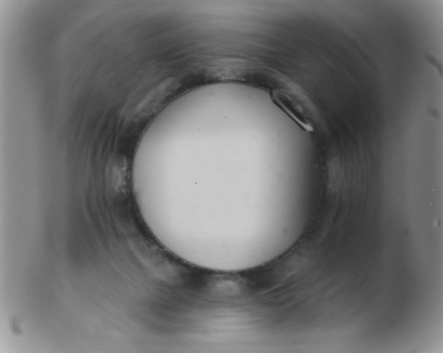 X0000103280073200809121954