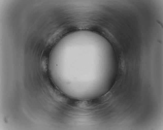 X0000103280074200809121954