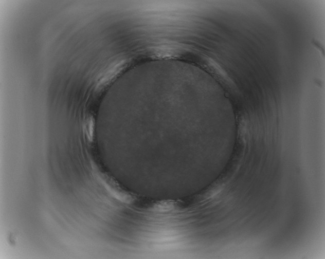 X0000103280076200809121954