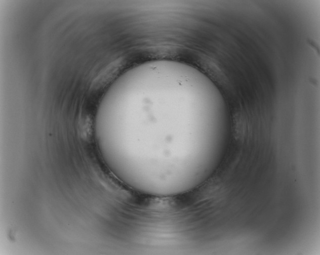 X0000103280077200809121954