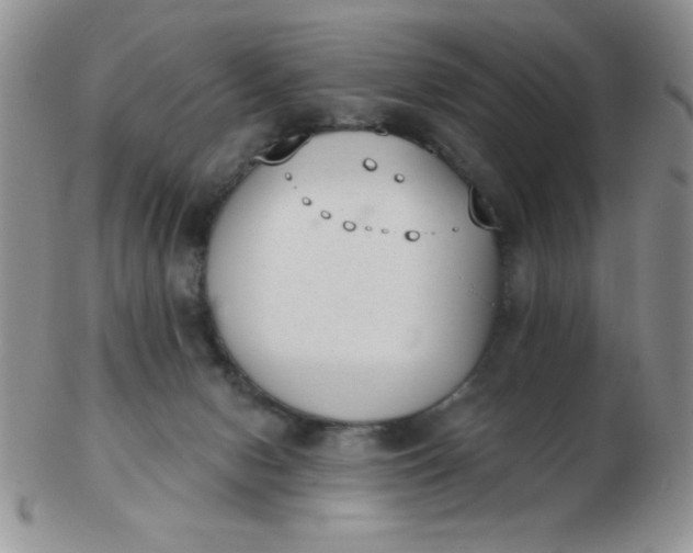 X0000103280078200809121954