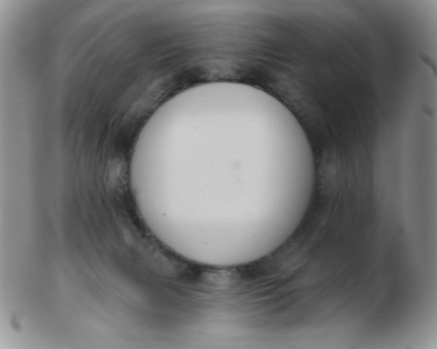 X0000103280079200809121954