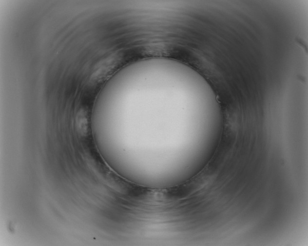 X0000103280080200809121954