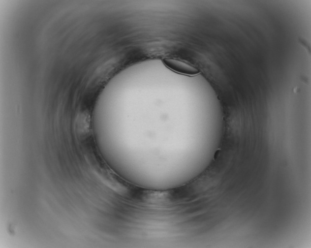 X0000103280081200809121954