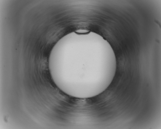 X0000103280083200809121954