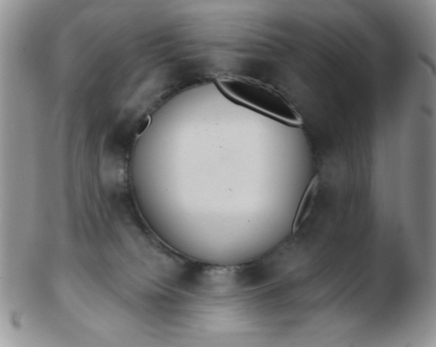 X0000103280084200809121954