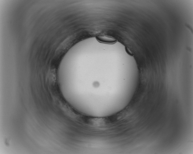 X0000103280085200809121954