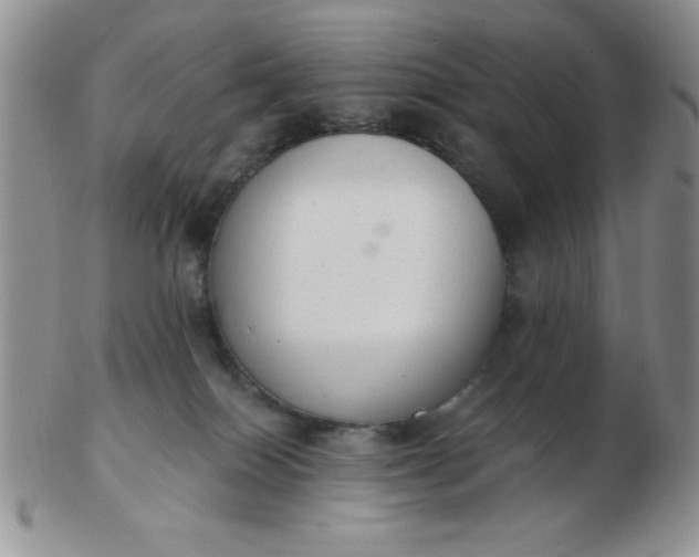 X0000103280086200809121954