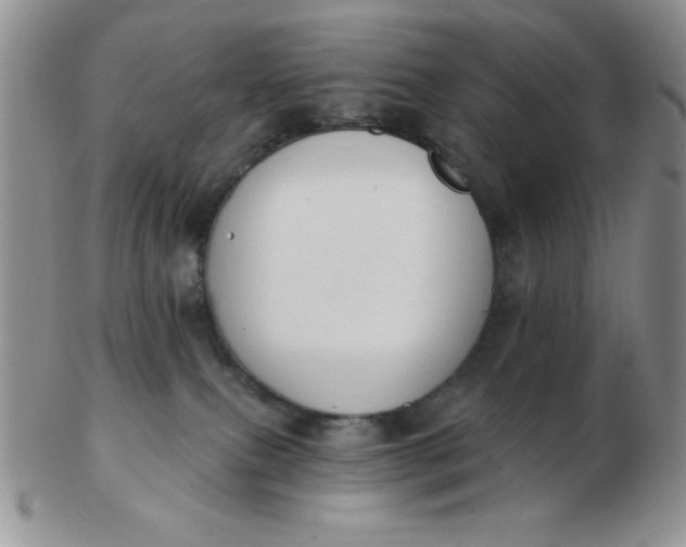 X0000103280087200809121954