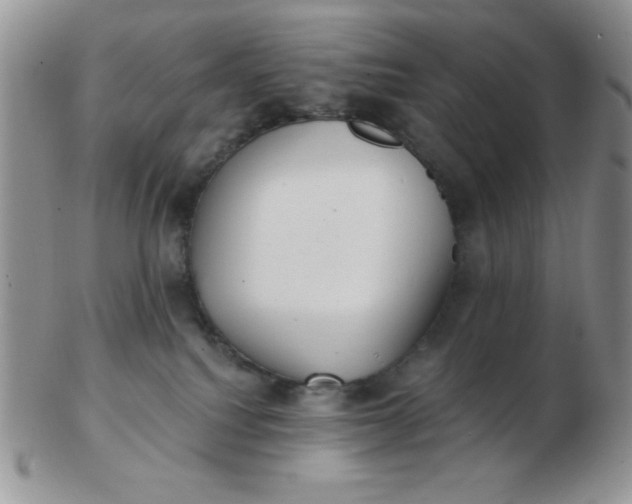 X0000103280088200809121954