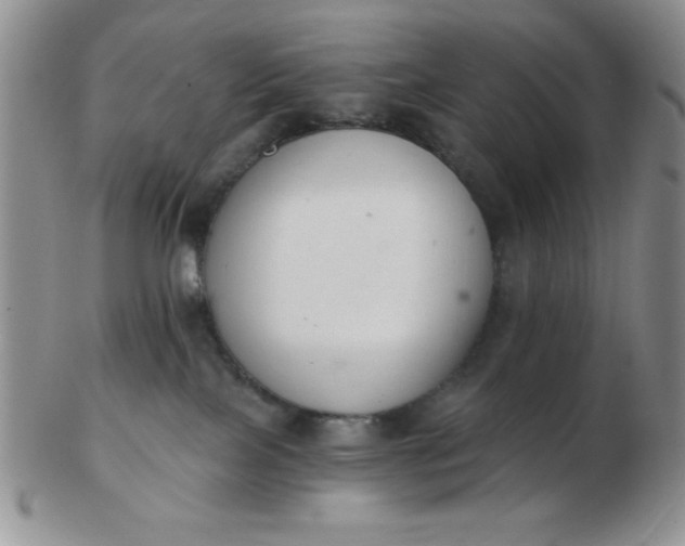 X0000103280089200809121954