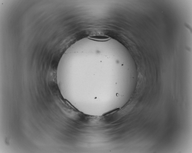 X0000103280096200809121954