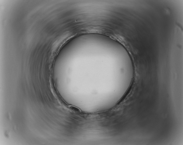 X0000103280097200809121954