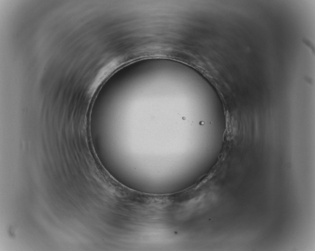 X0000103280099200809121954