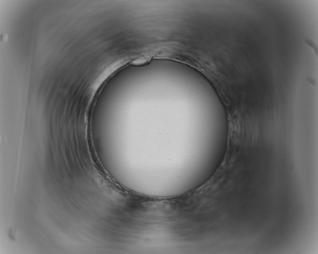 X0000103280100200809121954