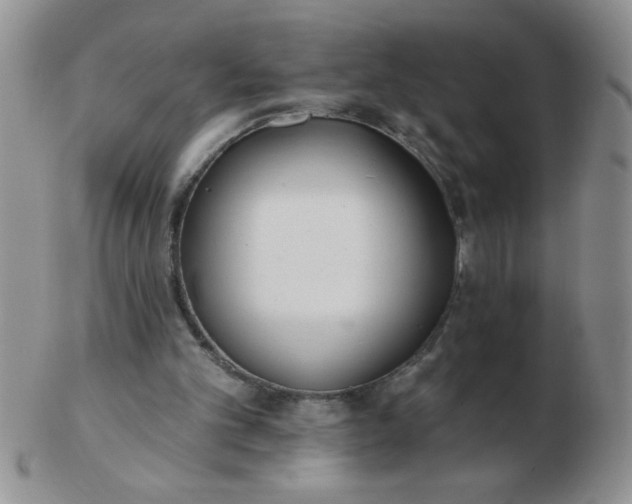 X0000103280101200809121954