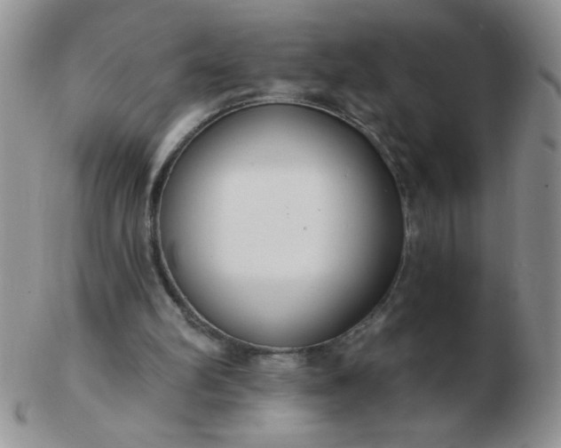 X0000103280102200809121954